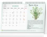 NOTIQUE Mesačný plánovací kalendár so semienkami CZ 2027, 30 x 21 cm
