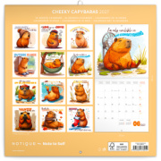 NOTIQUE Grid calendar Cheeky Capybaras 2027, 30 x 30 cm