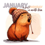 NOTIQUE Grid calendar Cheeky Capybaras 2027, 30 x 30 cm