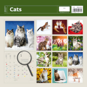 Kalendár Cats