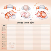 Kalendár Family Planner