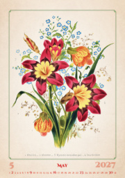 Kalendár Herbarium – náhľad 6