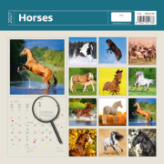 Kalendár Horses