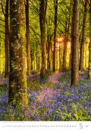 Kalendár Nature Emotions