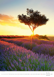 Kalendár Provence