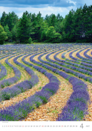 Kalendár Provence