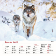 Nástenný kalendár Les a jeho príbehy 2027