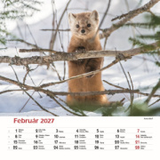 Nástenný kalendár Les a jeho príbehy 2027