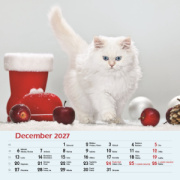 Nástenný kalendár Mačky 2027
