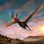 NOTIQUE Grid calendar Dinosaurs 2027, 30 x 30 cm