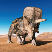 NOTIQUE Grid calendar Dinosaurs 2027, 30 x 30 cm