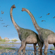 NOTIQUE Grid calendar Dinosaurs 2027, 30 x 30 cm