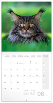 NOTIQUE Grid calendar Cats 2027, 30 x 30 cm