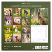 NOTIQUE Grid calendar Dogs 2027, 30 x 30 cm