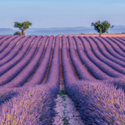 NOTIQUE Grid calendar Provence 2027, 30 x 30 cm