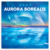 NOTIQUE Grid calendar Aurora Borealis 2027, 30 x 30 cm