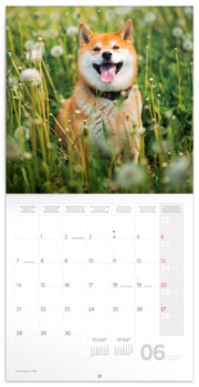 NOTIQUE Grid calendar Happy Doge 2027, 30 x 30 cm