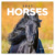 NOTIQUE Grid calendar Horses – Christiane Slawik 2027, 30 x 30 cm