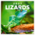 NOTIQUE Grid calendar Lizards 2027, 30 x 30 cm