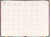 NOTIQUE Weekly Purse size planner Tropical Jungle 2027, 9,8 x 14,5 cm