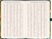 NOTIQUE Planbook diár/notes Mačka 2027, 13 x 21 cm