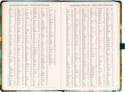 NOTIQUE Planbook diár/notes Mačka 2027, 13 x 21 cm