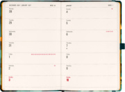 NOTIQUE Planbook planner/notebook Cat 2027, 13 x 21 cm