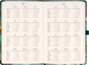 NOTIQUE Planbook planner/notebook Cat 2027, 13 x 21 cm