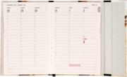 NOTIQUE Magnetic weekly planner Michelangelo 2027, 11 x 16 cm
