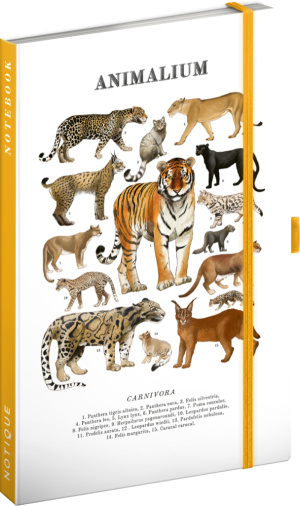 NOTIQUE Notes Animalium – Mačkovité šelmy, linajkovaný, 13 x 21 cm