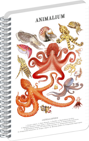 NOTIQUE Špirálový blok Animalium – Hlavonožce, linajkovaný, A4