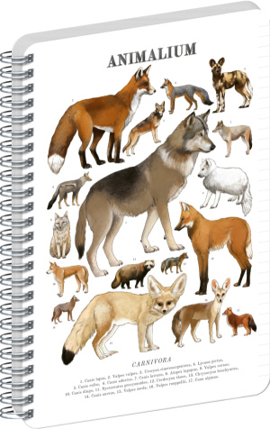 NOTIQUE Špirálový blok Animalium – Psovité šelmy, linajkovaný, A5