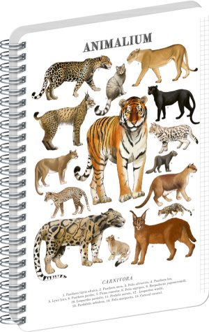 NOTIQUE Špirálový blok Animalium – Mačkovité šelmy, štvorčekovaný, A5