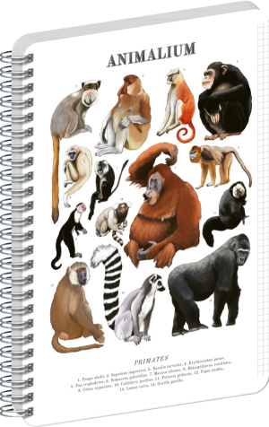 NOTIQUE Špirálový blok Animalium – Primáty, štvorčekovaný, A5