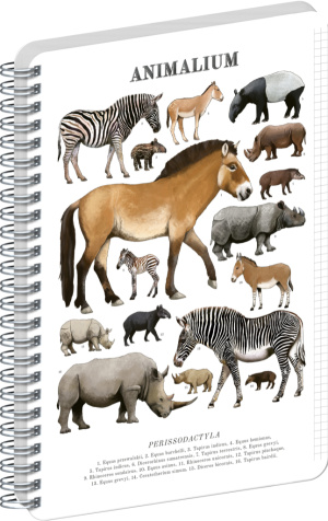 NOTIQUE Špirálový blok Animalium – Nepárnokopytníky, štvorčekovaný, A4