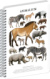 NOTIQUE Špirálový blok Animalium – Nepárnokopytníky, štvorčekovaný, A4