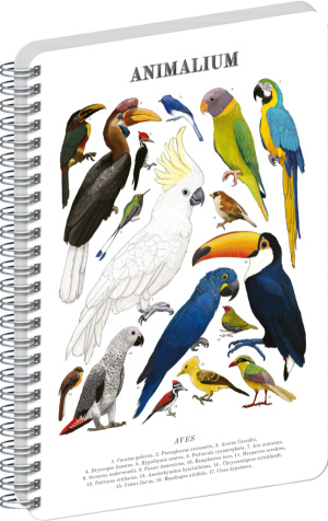 NOTIQUE Špirálový blok Animalium – Vtáky, čistý, A5