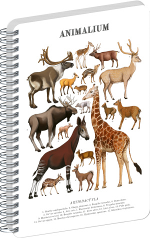 NOTIQUE Špirálový blok Animalium – Párnokopytníky, čistý, A5