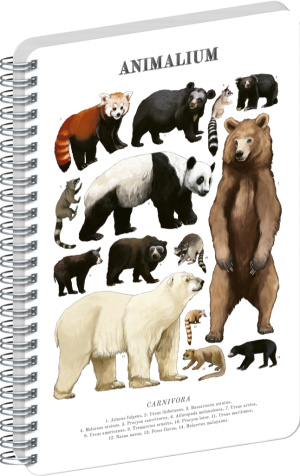 NOTIQUE Špirálový blok Animalium – Medveďovité šelmy, čistý, A4