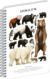 NOTIQUE Špirálový blok Animalium – Medveďovité šelmy, čistý, A5
