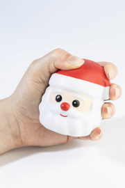 Nordflaska vianočná izolovaná fľaša, Santa