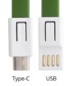 USB Type-C lanyard