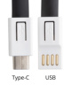 USB Type-C lanyard
