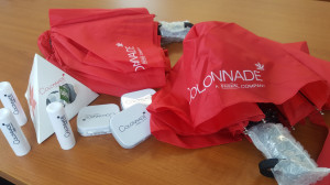 Colonnade Insurance S.A. - 2