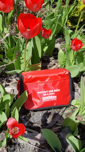 Semikron, s.r.o. - 1